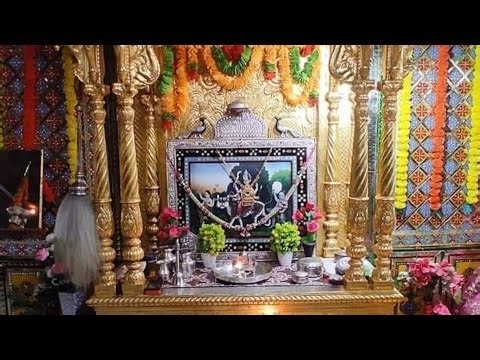 Bilara Mandir Darshan & Kids Jungle Safari Full Video #aaimataji #aai #mataji #bilara