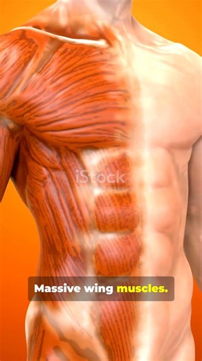 Top Aviation Expert Reveals BEST Flying Techniques