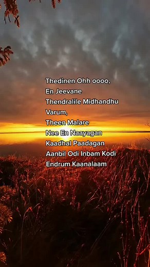 Springwell on TikTok