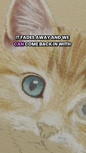 Tips for Drawing Realistic Cat Eyes #pencilart #petportrait #catportraits | Colin Bradley School of Art