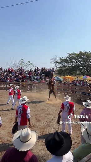 #campo #tradicion #caballos #ecuador🇪🇨