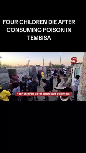 Beast of news on TikTok