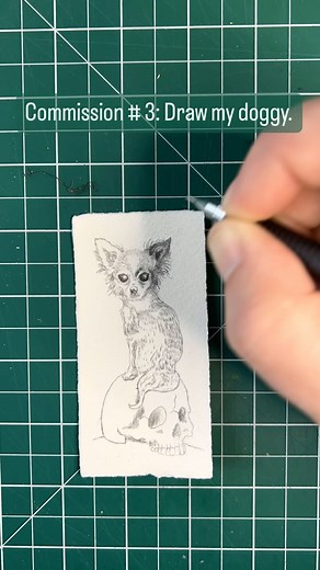 23 reactions · 8 comments | Commission #3 done! A little gothic Chihuahua… #timelapse #dog #portrait #goth #drawing | My Pet Skeleton | Facebook