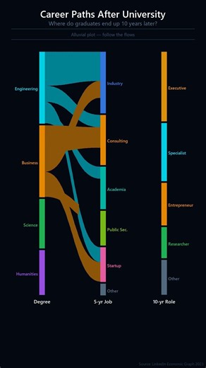 Career Paths After University
