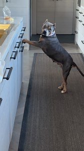 Stop spying on me Papa!!! #famousmisspeaches🍑 | Miss Peaches