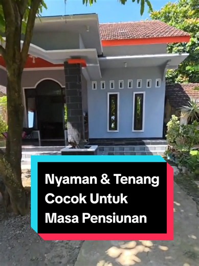 Rumah Pensiunan di Ngemplak Lor Bukan sekadar rumah, tapi tempat menikmati hari tua. Jauh dari hiruk pikuk kota, dekat dengan ketenangan dan kebahagiaan. Luas: 1.466m² Sertipikat: HM Mahar: 900jt Nego Pusat Info Tanah & Rumah di Pati WA: 081215285524 #FYP #Rumah #viral #pati #tki