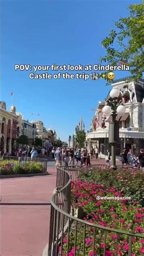 First Look at Cinderella Castle
