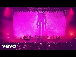 Zoé - Vinyl (Visualizer/ En Vivo)