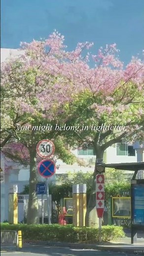 introducing lightletter, my new literary journal! 🫶 #writing #aesthetic