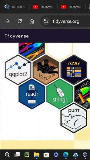 Tidyverse Collection of Extended Packages for R