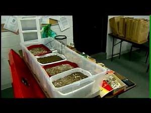 Mushroom-Growing Operation Found In Raid