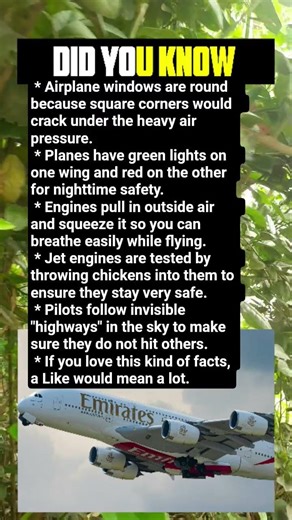Why do airplane engines throw chickens? 🐔 Some unknown facts about airplanes! ✈️