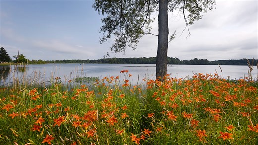Put your senses to the test and learn to read nature's signs