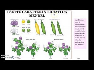 The Origins of Genetics: Gregor Mendel's Experiments