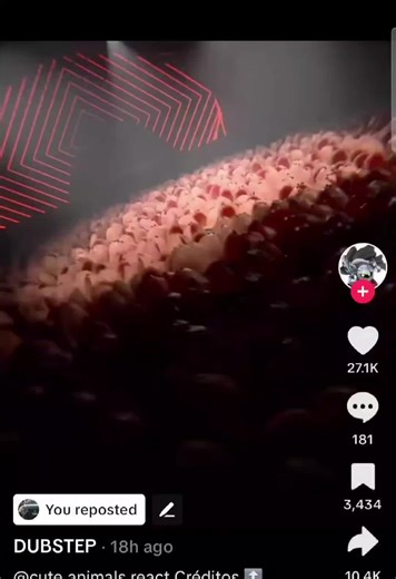 chase (@life.slayer0)’s videos with sonido original - DUBSTEP