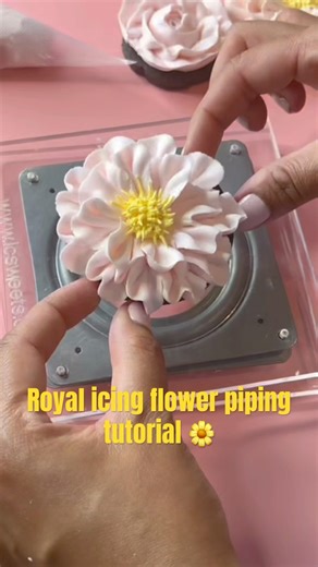 Royal icing flower piping tutorial #flowercookies #royalicingcookies #cookiedecorating