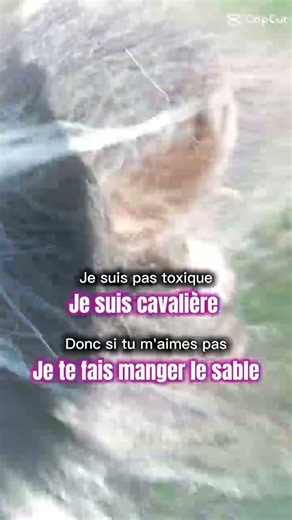 je te fais manger le sable 🌿✨#duo #pony #equitation #moi #horse #equestrian #petit tonnerre