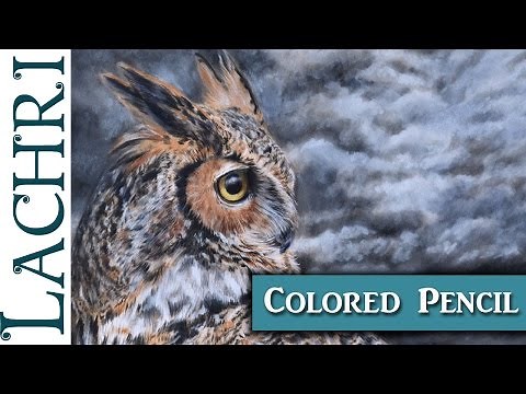 Drawing a Great Horned Owl in colored pencil w/ Lachri