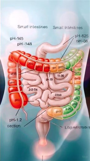 Weak Acid vs Weak Base Absorption | Kaun Kahan Absorb Hota Hai? #Shorts