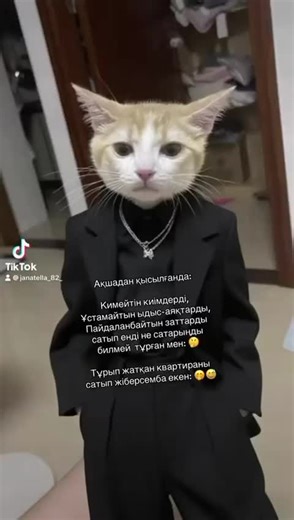 ASM (@asm_a_84)’s videos with оригинальный звук - ASM