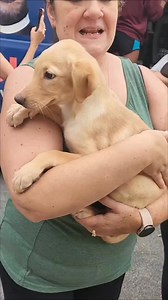 Let's start the week out strong #buffalo! Apply today to become a foster or volunteer today at buddysrescue.org! #adoptdontshop | Buddy's Second Chance Rescue