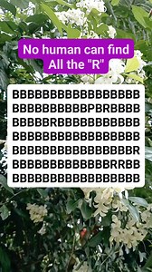 189K views · 3.6K reactions | No human can find it #brainteaser #search #find #puzzle | Riddle & Puzzle | Facebook