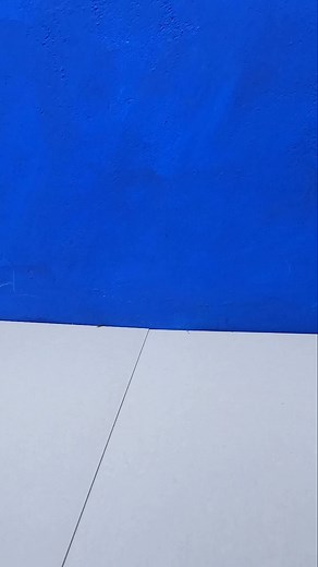 3.8K views · 41 reactions | rc school bus | Rc Toy Wala | Facebook