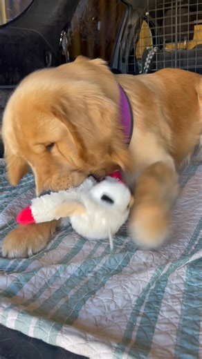 133K views · 8.8K reactions | On Thursday, I had a great time at The...