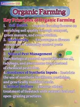 🌱 Key Principles of Organic Farming | The Foundation of Sustainable Agriculture