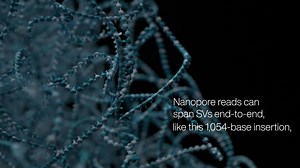 Structural variant analysis with Oxford Nanopore