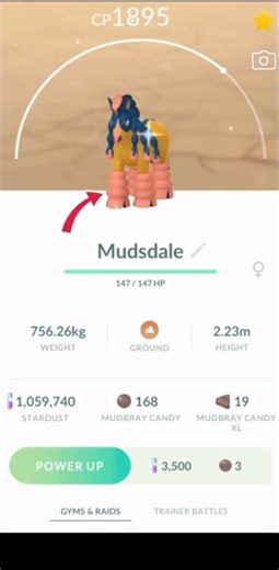LETS GOO!! ✨Shine Mudbray✨Evolve🧬 in Pokemon GO.
