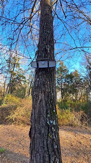 Brighten Your Outdoors with Solar Security Lights