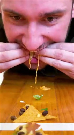 dog vs cat challenge #dogs #funny #retreiver #puppy #goldenretreivers #pets #pets #goldenretreiver