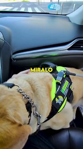 55K views · 1.3K reactions | Zaragoza, viaje de trabajo, taxi, cámara...