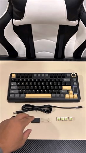 Paulo Amorim on Instagram: "Unboxing the Epomaker x Aula EA75 Max today and wow… The moment I pulled it out of the box, it felt like such a fun mix of design and functionality. The 75% layout keeps everything compact, but you still get that super handy knob and the little display that adds a cool touch to the setup. The switches feel incredibly smooth right out of the box, and the gasket-mount design gives each keypress a soft, cushioned vibe that makes typing feel effortless. I also love having