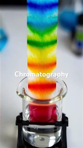 🤯 “This Chromatography Experiment SHOCKED Me!”