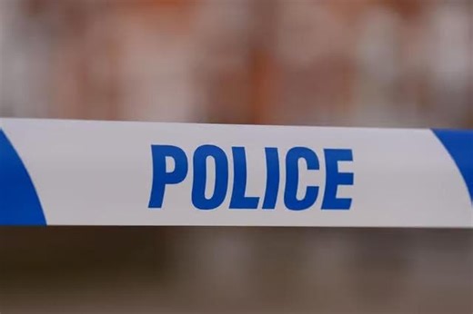 "Sadly the horse died at the scene" - escaped horse hit by a car in Hambledon