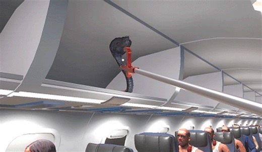 華やかなキャビンアテンダント人生の裏に努力と責任あり！時にコブラも脱走する客室乗務員シム『Cabin Crew Life Simulator』2月19日より早期アクセスリリース | Game*Spark - 国内・海外ゲーム情報サイト