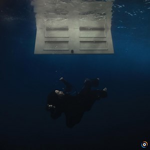 Wildflower by Billie Eilish