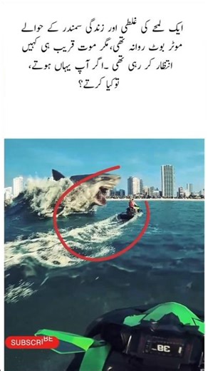 ocean is very risky, no one knows what's coming for you #shark #ocean #dangerous