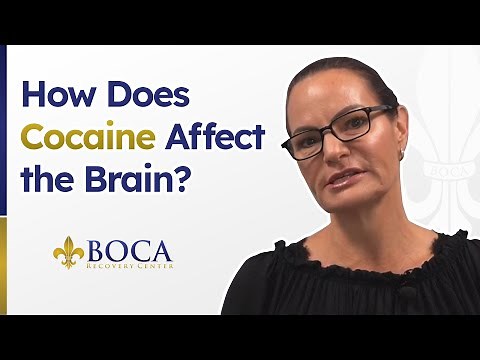 How Does Cocaine Affect the Brain?
