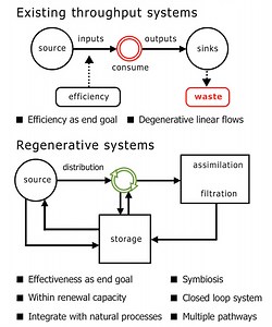 Regenerative Architecture | Beyond Sustainability - Design to Actively Heal the Environment