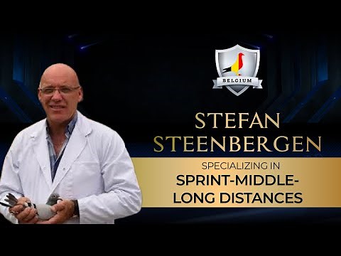 STEFAN STEENBERGEN-BELGIUM FEPA PIGEON LOFT TOUR (2023)