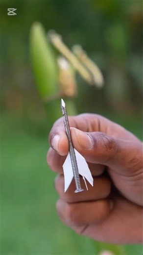 Testitng Bamboo Gun shooting Target 🎯 #trending#missile #diy Bamboo y