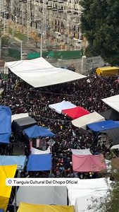 45 Aniversario del Tianguis Cultural El Chopo Patrimonio Cultural Inmaterial de la Ciudad de México. casa llena | Tianguis Cultural Del Chopo Oficial