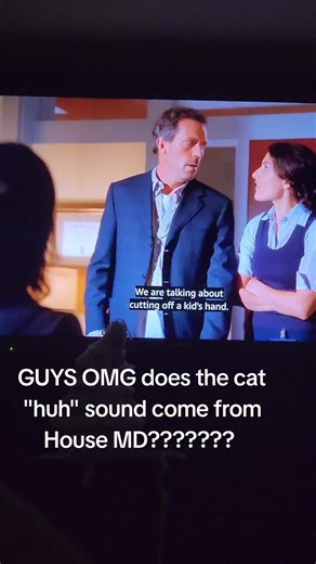 Exploring the 'Huh' Sound from House MD