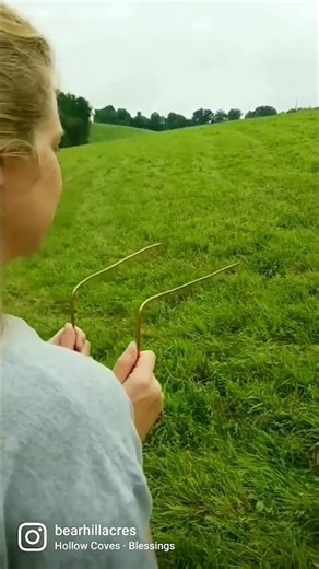 How Water Divining Technique Works #shorts #ytshorts