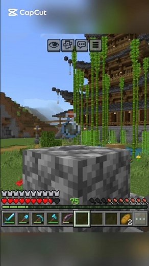 Título Cómo hacer una Poción de Infestación 🕷️
