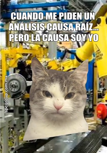 Yo soy el problema: Memes y risa asegurada