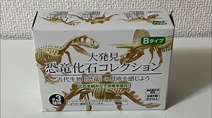 100均セリアで買える恐竜骨格フィギュアをレビューした！ティラノサウルス　Dinosaur fossil figure review tyrannosaurus – フレッドの恐竜チャンネル       Fred Dinosaurs